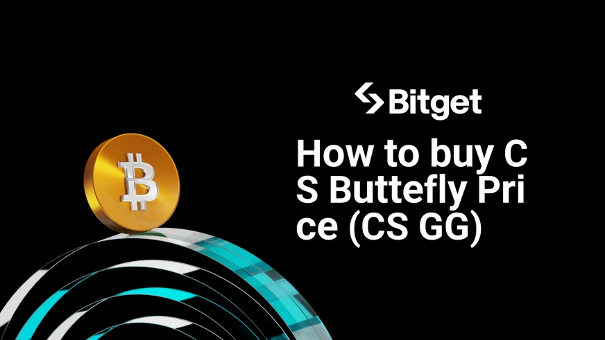 How to buy CS Buttefly Price